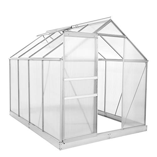 Zelsius Aluminium Gewächshaus für den Garten | inklusive Fundament | 250 x 190 cm | 4 mm Platten | Vielseitig nutzbar als Treibhaus, Tomatenhaus, Frühbeet und Pflanzenhaus